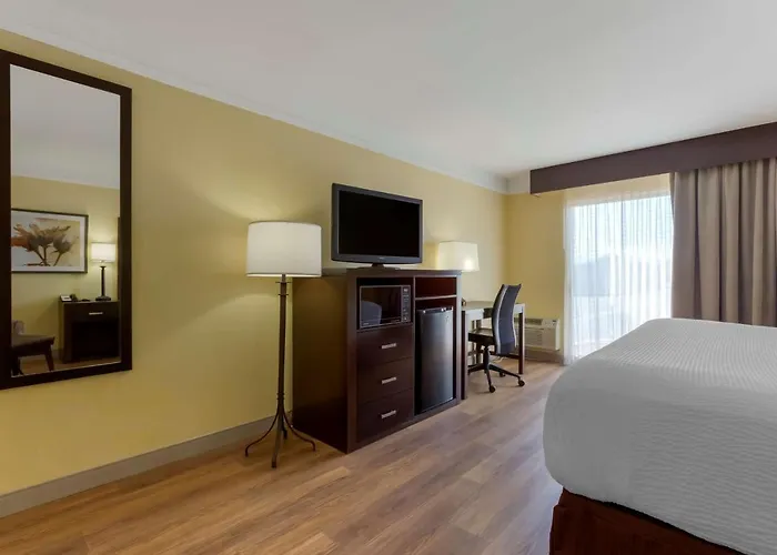 Western Phoenix Hotel 3*