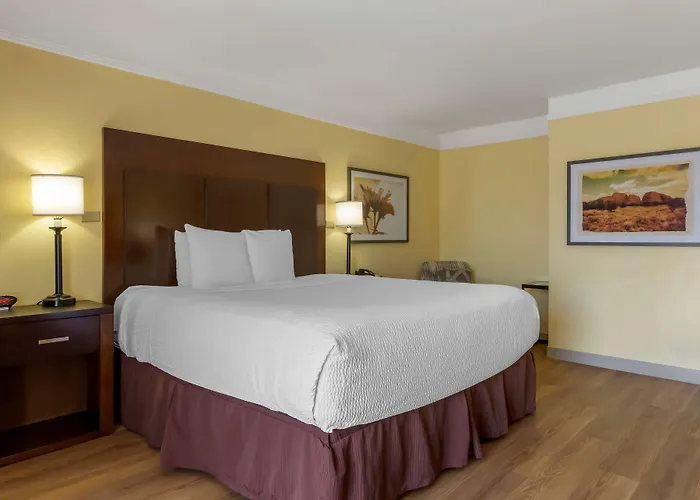 Western Phoenix Hotel Goodyear