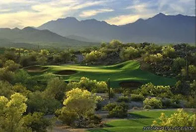 Western Phoenix